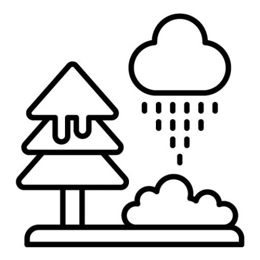 Winter Icon
