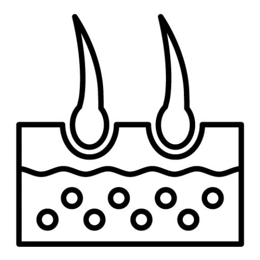Hair Icon | Skincare