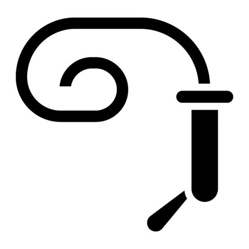Whip Glyph Icon | Politics
