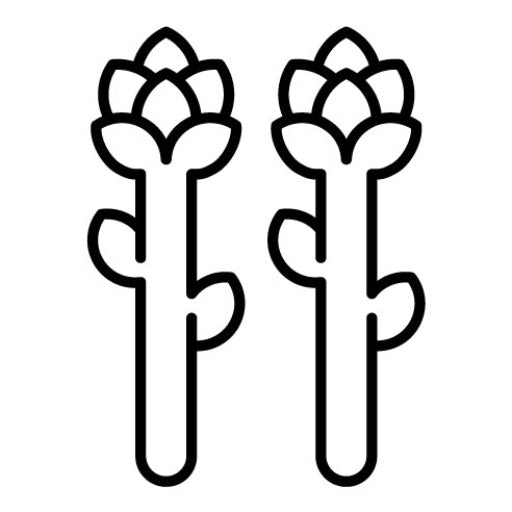 Asparagus Icon | Gardening