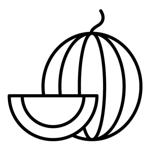 Melon Icon