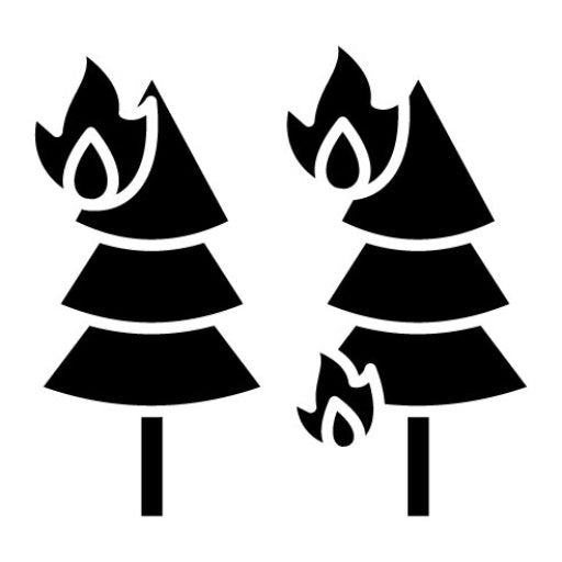 Wildfire Glyph Icon | Firefighter