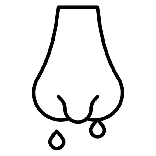 Nasal Cavity Icon