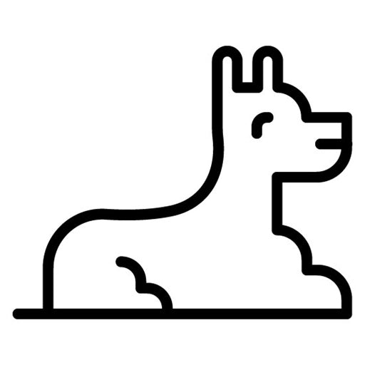 Anubis Icon