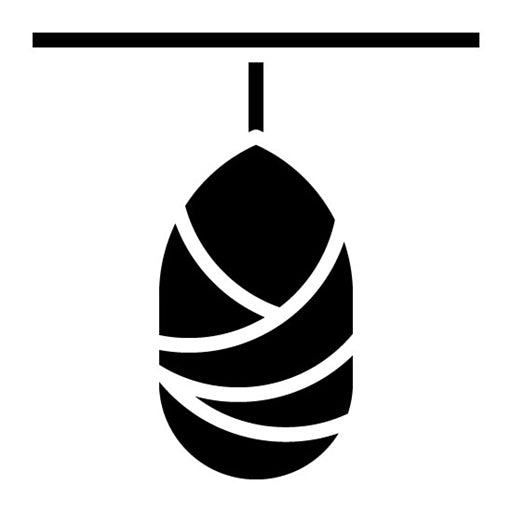 Silk Cocoon Glyph Icon