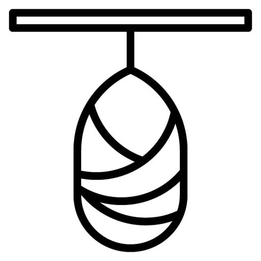 Silk Cocoon Icon