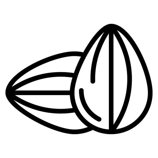 Almonds Icon
