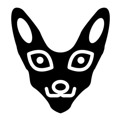 Fennec Fox Glyph Icon | Rainforest