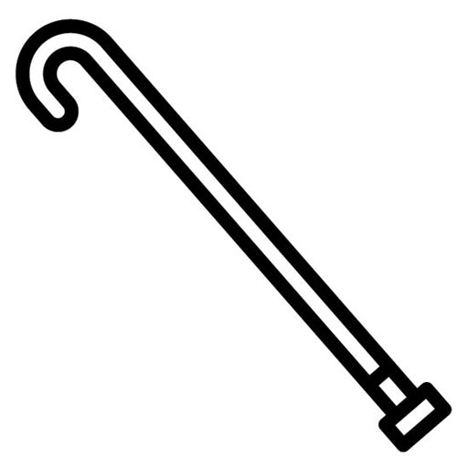 Walking Stick Icon