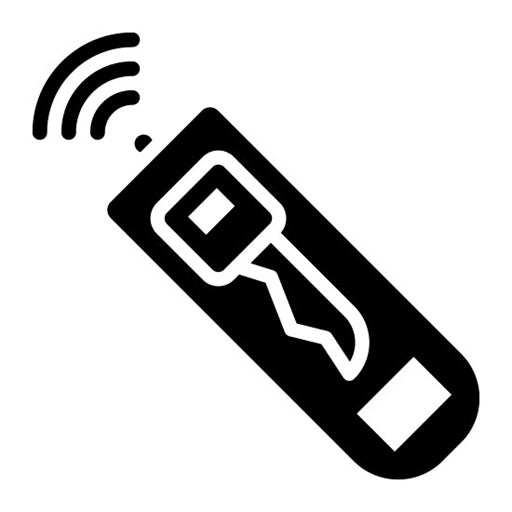 Remote Access Key Glyph Icon