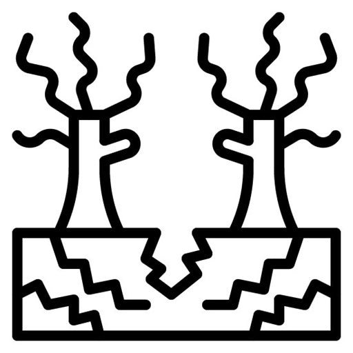 Arid Climate Icon