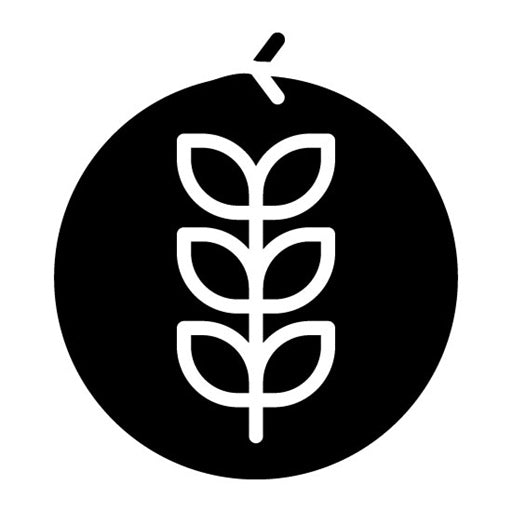 Sustainable Agriculture Glyph Icon | World Environment Day