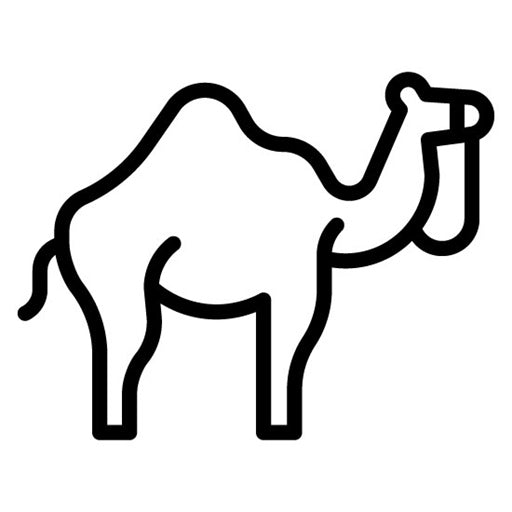 Camel Icon | Eid al Adha