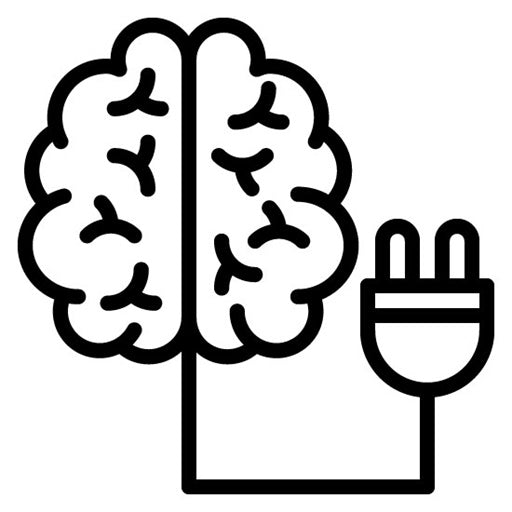 Brain Wiring Icon