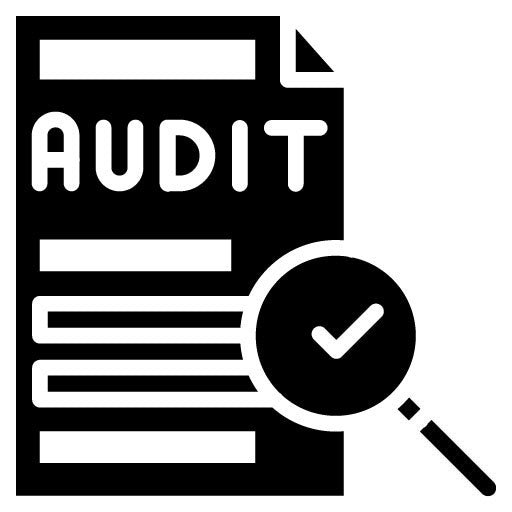 Audit Glyph Icon | Compilance and Regulation