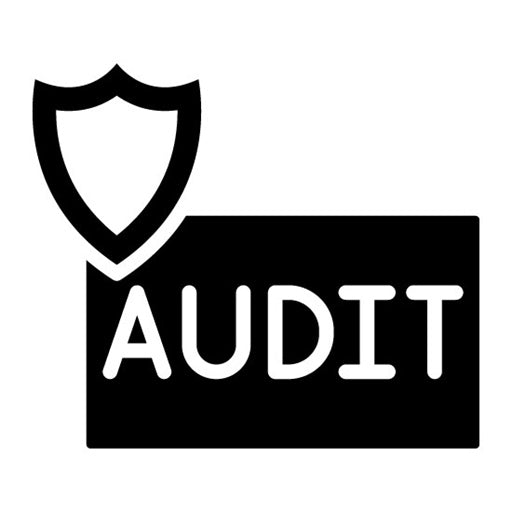 Cybersecurity Audit Glyph Icon