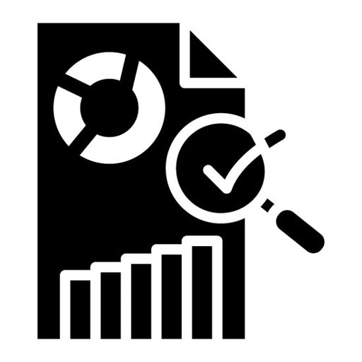 Internal Audit Glyph Icon