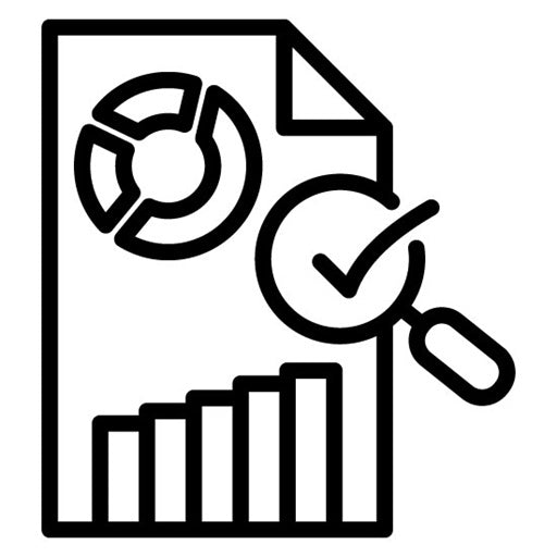 Internal Audit Icon