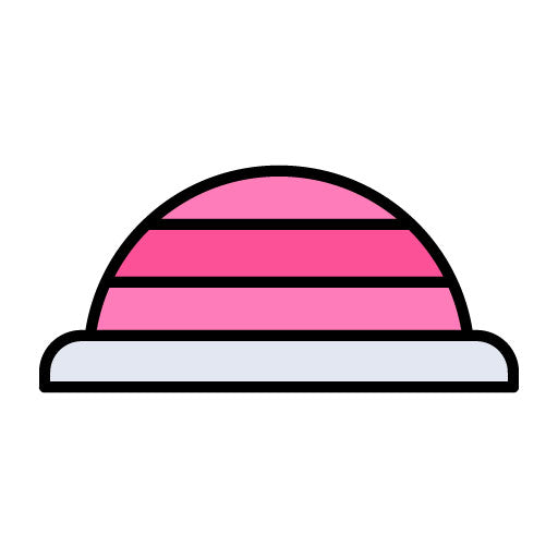 Bosu Ball Filled Icon