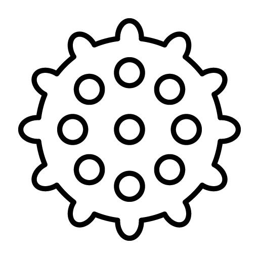 Image Set 7