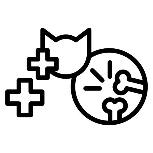 Pet Surgery Icon