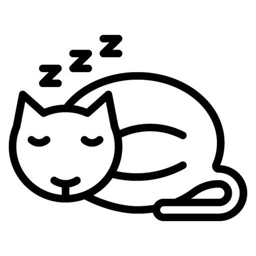 Sleeping Cat Icon