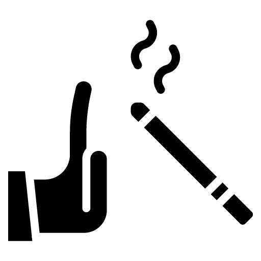 Quit Plan Glyph Icon