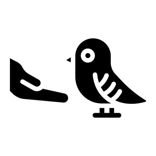 Bird Feeding Glyph Icon