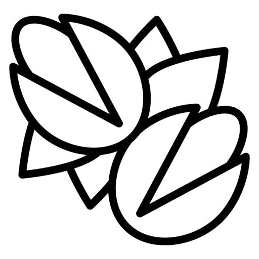 Pistachio Icon