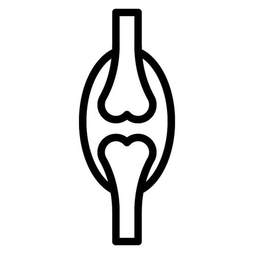 Cartilage Icon