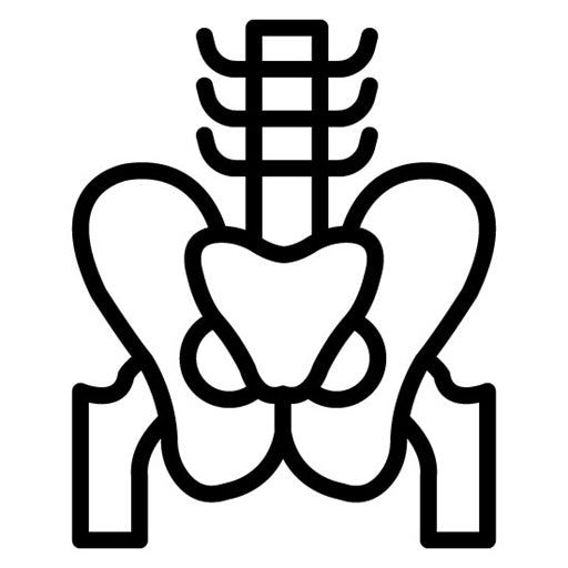 Pelvis Icon | Orthopedics
