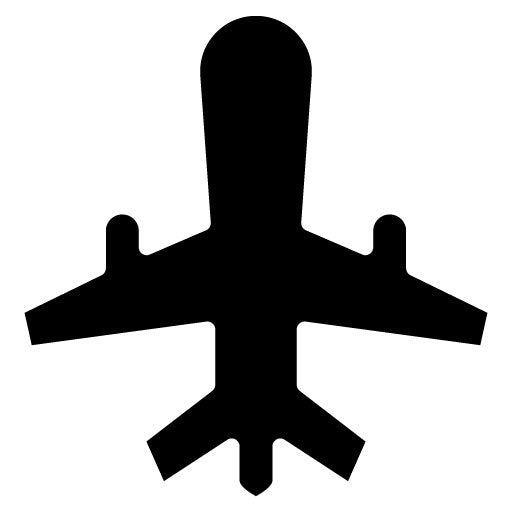 Airplane Glyph Icon | Honeymoon
