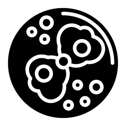 Cell Division Glyph Icon