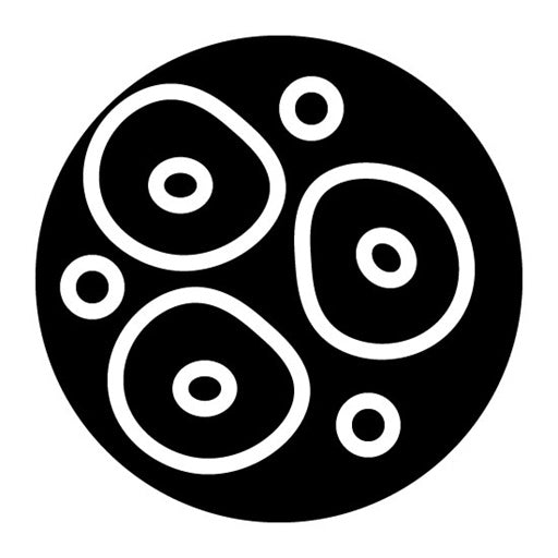 Stem Cells Glyph Icon