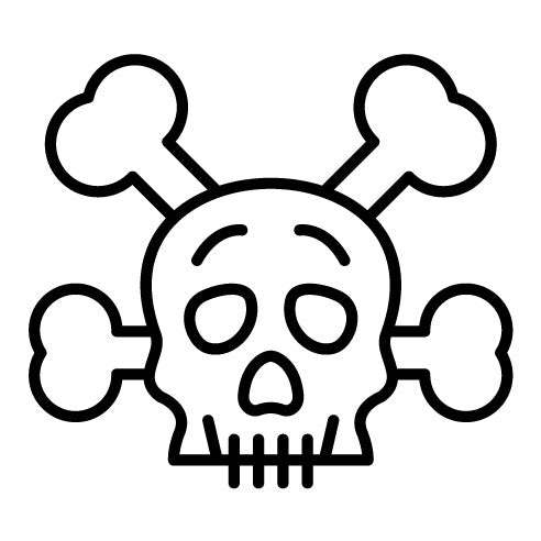 Skull Icon | Cyber Security