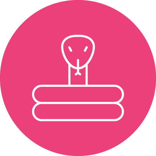 Snake Line Circle Icon