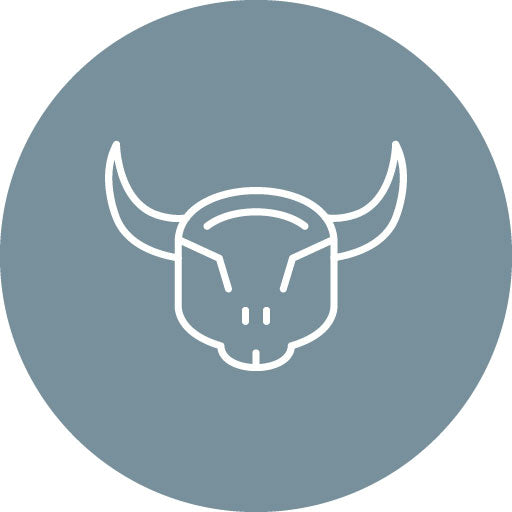 Bull Skull Line Circle Icon