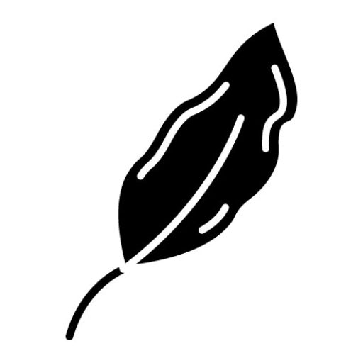 Feather Glyph Icon | Wild West