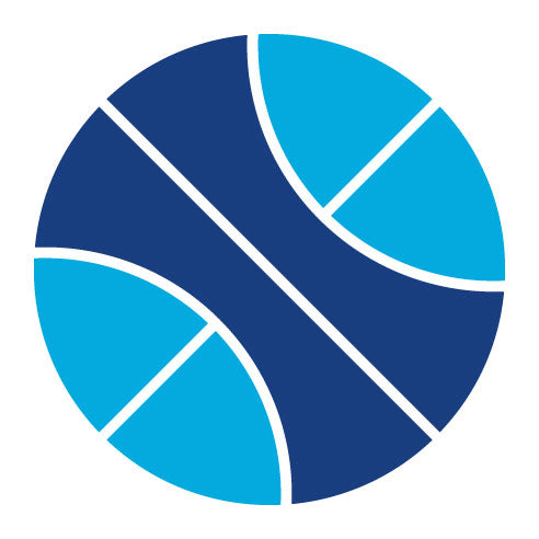 Two Color Basketball Glyph Icon