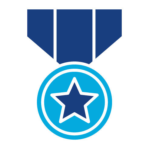 Two Color Army Medal Glyph Icon