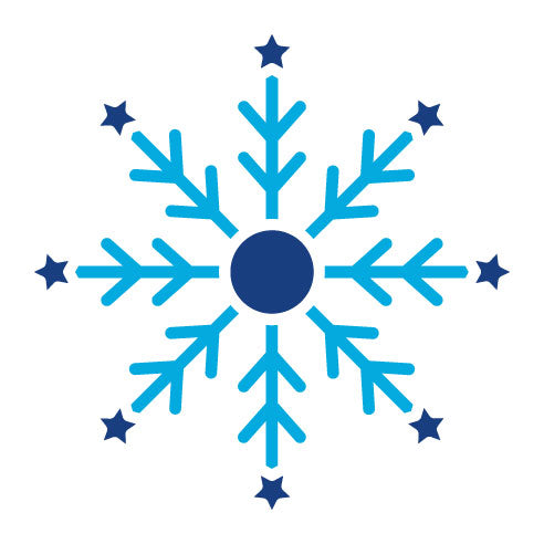 Two Color Snowflake Glyph Icon