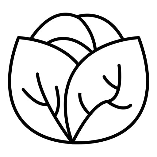 Cabbage Icon