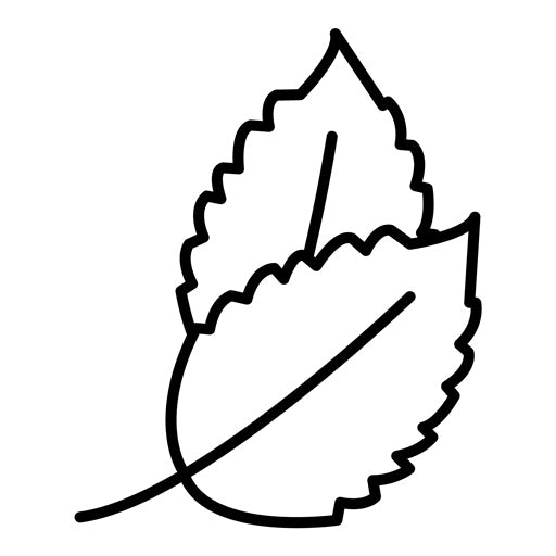 Herb Leaf Icon