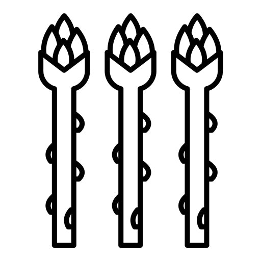 Asparagus Icon