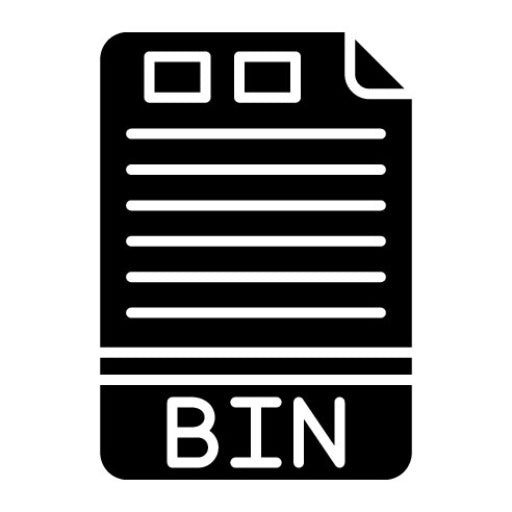 BIN Glyph Icon