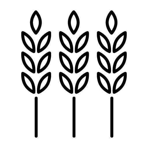 Wheat Icon