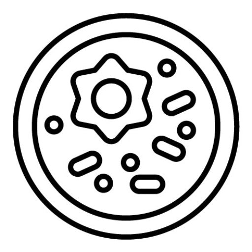 Tteokbokki Icon