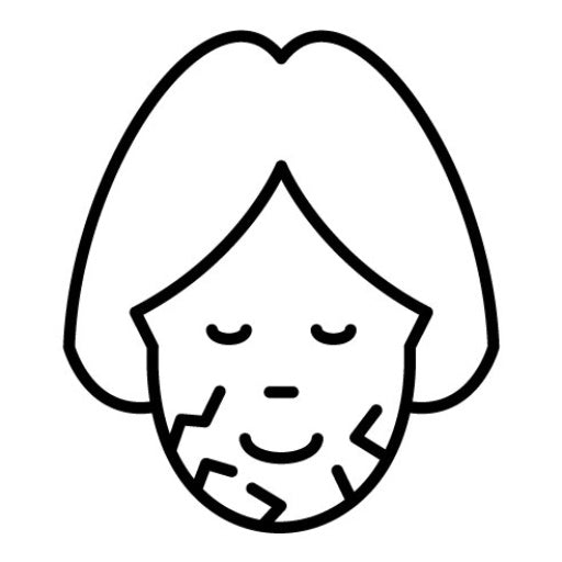 Dry Skin Icon | Skincare