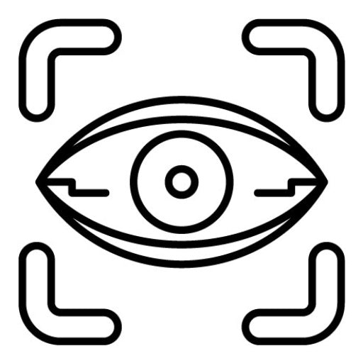 Vision Icon | The Future