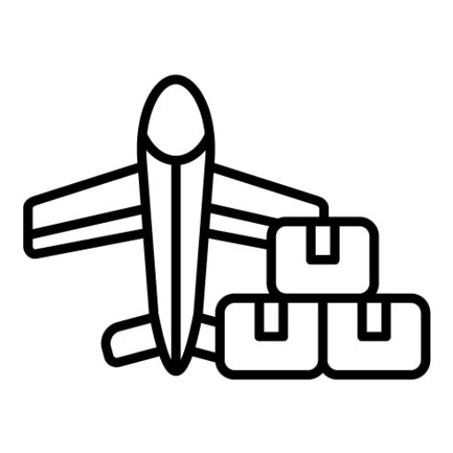 Air Freight Icon
